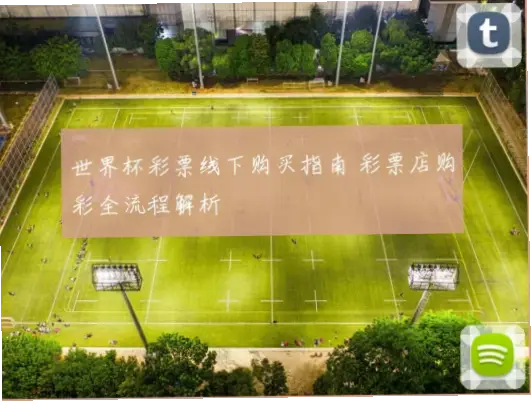 世界杯彩票什么时候可以买？销售时间全解析